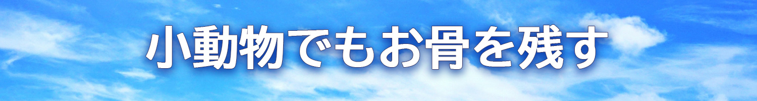 小動物のお骨をしっかり残す
