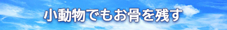 小動物のお骨をしっかり残す